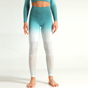 Ombré Seamless Leggings