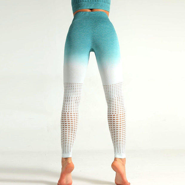 Ombré Seamless Leggings